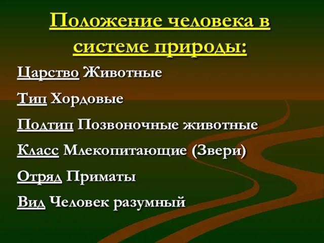 Положение человека в системе природы: Царство Животные Тип Хордовые Подтип Позвоночные животные