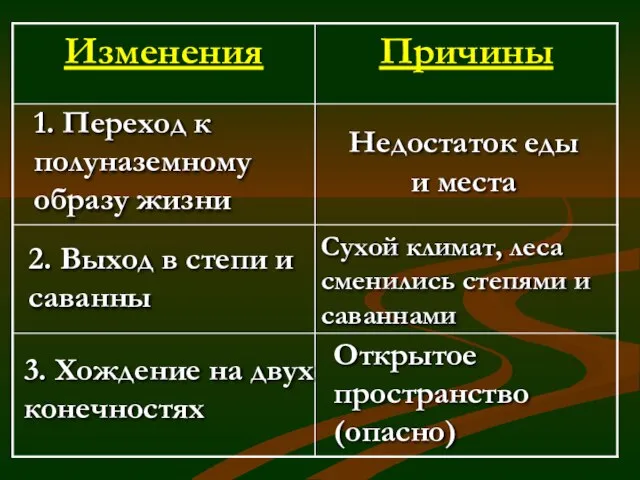 Недостаток еды и места 1. Переход к полуназемному образу жизни 2. Выход