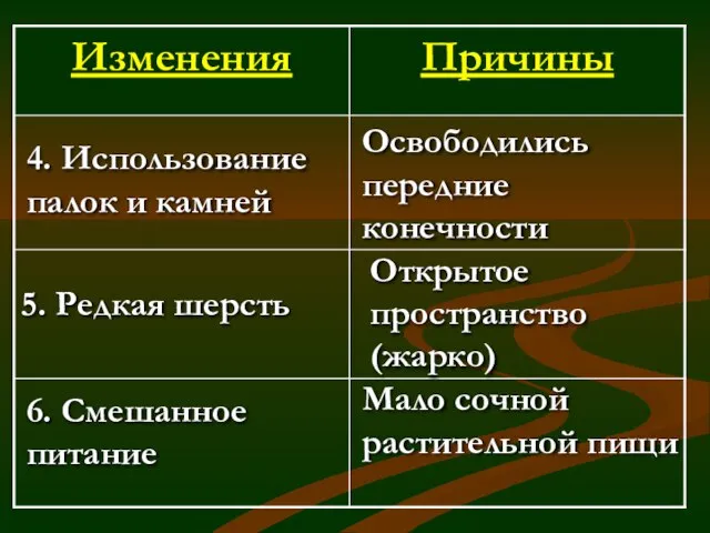 Освободились передние конечности 4. Использование палок и камней 5. Редкая шерсть Мало