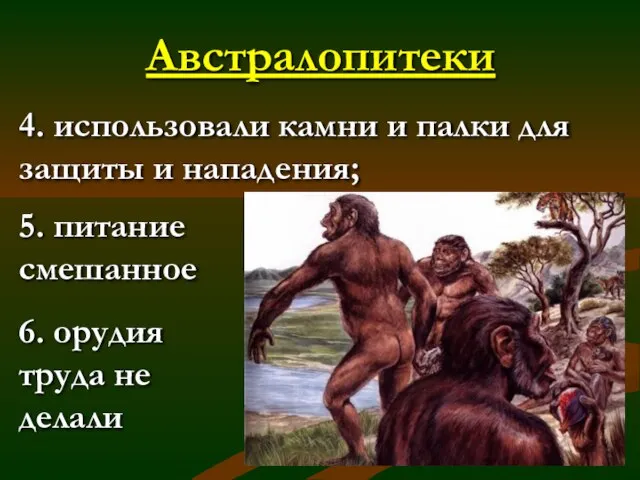 Австралопитеки 4. использовали камни и палки для защиты и нападения; 5. питание