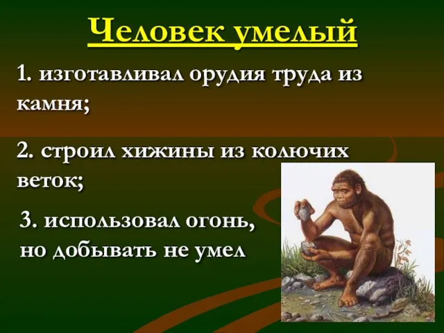 Человек умелый 1. изготавливал орудия труда из камня; 2. строил хижины из