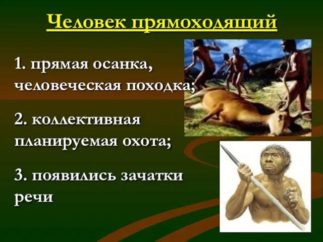 Человек прямоходящий 1. прямая осанка, человеческая походка; 2. коллективная планируемая охота; 3. появились зачатки речи