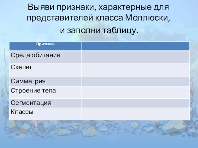 Выяви признаки, характерные для представителей класса Моллюски, и заполни таблицу.