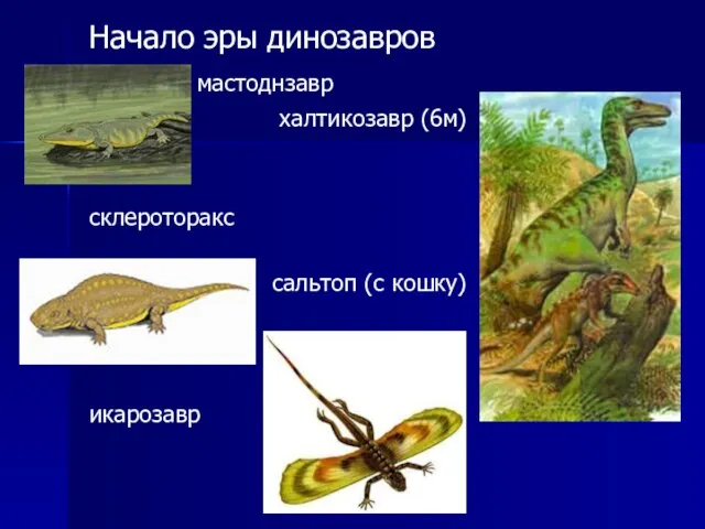 Начало эры динозавров мастоднзавр халтикозавр (6м) склероторакс сальтоп (с кошку) икарозавр