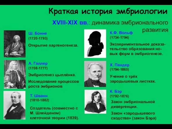 Краткая история эмбриологии XVIII-XIX вв.: динамика эмбрионального развития Эмбриогенез цыплёнка. Исследование процессов