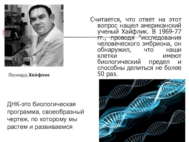 Считается, что ответ на этот вопрос нашел американский ученый Хайфлик. В 1969-77