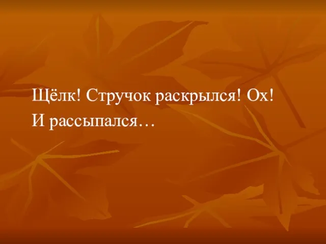 Щёлк! Стручок раскрылся! Ох! И рассыпался…