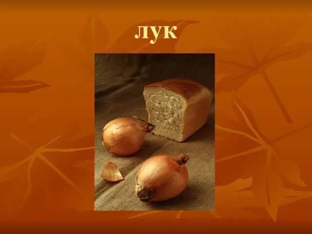 лук