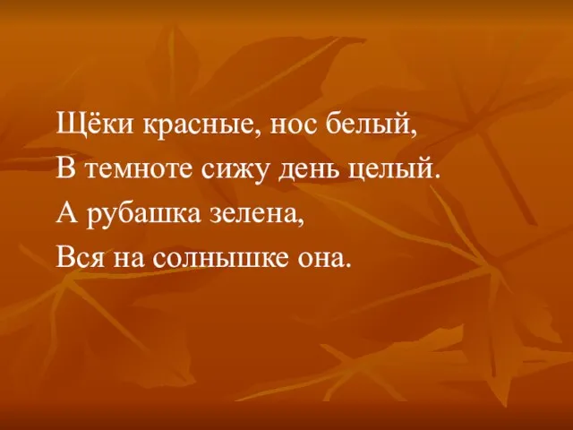 Щёки красные, нос белый, В темноте сижу день целый. А рубашка зелена, Вся на солнышке она.