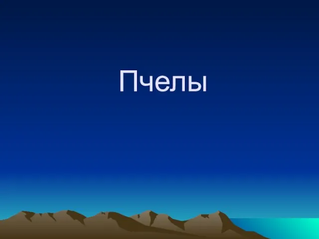 Пчелы