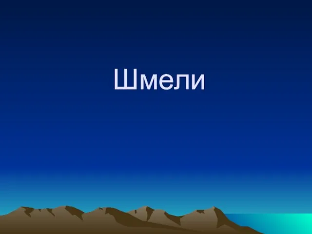 Шмели