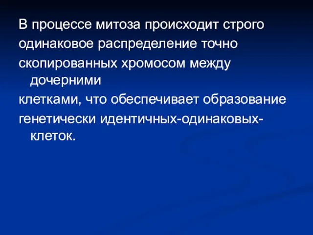 В процессе митоза происходит строго одинаковое распределение точно скопированных хромосом между дочерними