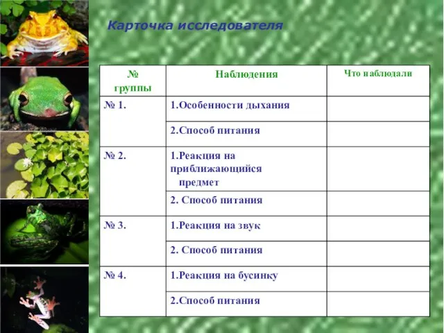 Карточка исследователя