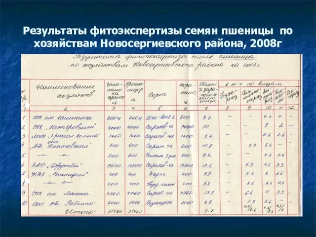 Результаты фитоэкспертизы семян пшеницы по хозяйствам Новосергиевского района, 2008г