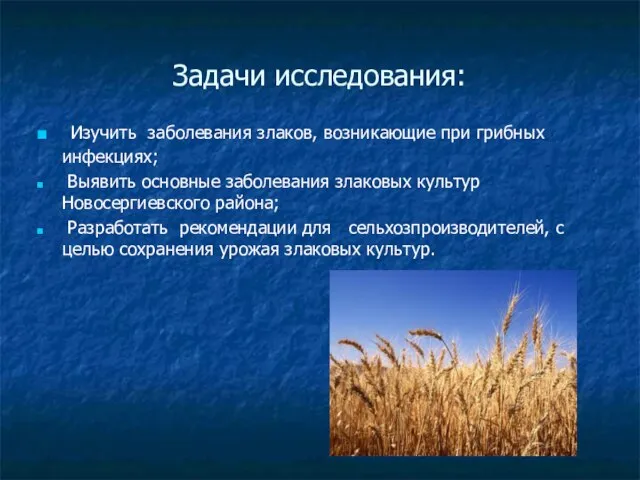 Задачи исследования: Изучить заболевания злаков, возникающие при грибных инфекциях; Выявить основные заболевания