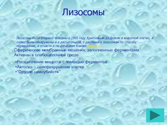 Лизосомы Лизосомы были впервые описаны в 1955 году Кристианом де Дювом в