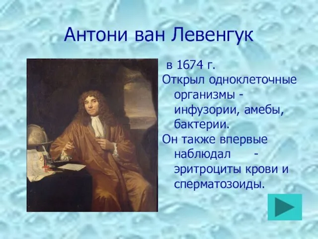 Антони ван Левенгук в 1674 г. Открыл одноклеточные организмы - инфузории, амебы,