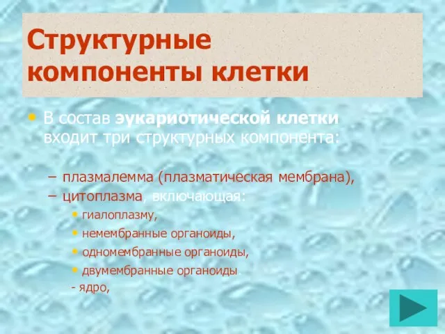 Структурные компоненты клетки В состав эукариотической клетки входит три структурных компонента: плазмалемма