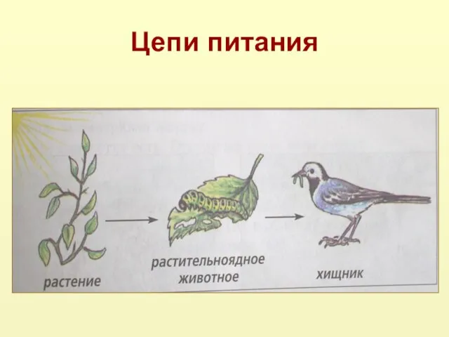 Цепи питания