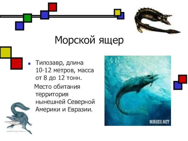 Морской ящер Тилозавр, длина 10-12 метров, масса от 8 до 12 тонн.