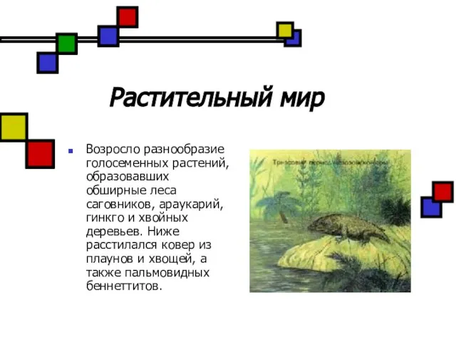 Растительный мир Возросло разнообразие голосеменных растений, образовавших обширные леса саговников, араукарий, гинкго