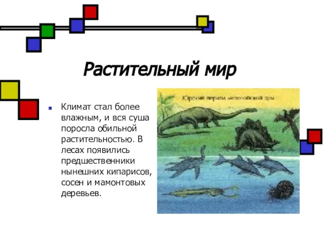 Растительный мир Климат стал более влажным, и вся суша поросла обильной растительностью.