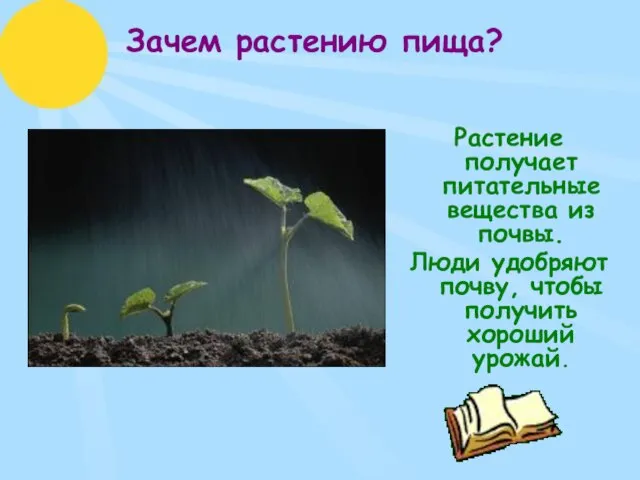 Зачем растению пища? Растение получает питательные вещества из почвы. Люди удобряют почву, чтобы получить хороший урожай.