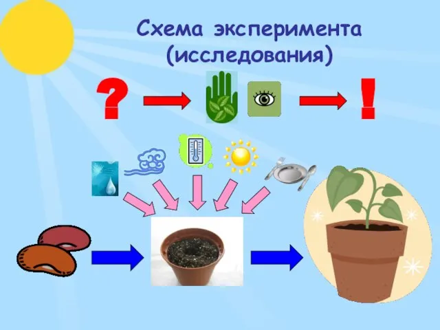 Схема эксперимента (исследования) ? !