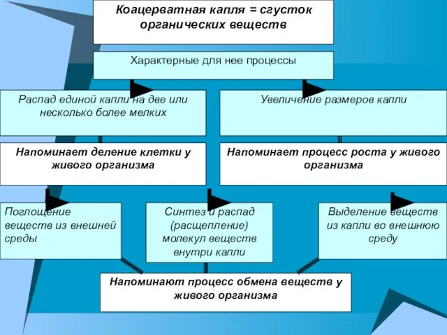 Характерные для нее процессы Коацерватная капля = сгусток органических веществ Распад единой