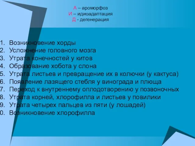 Возникновение хорды Усложнение головного мозга Утрата конечностей у китов Образование хобота у