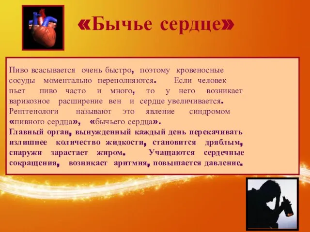 «Бычье сердце» Пиво всасывается очень быстро, поэтому кровеносные сосуды моментально переполняются. Если