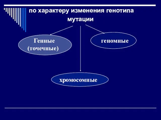 по характеру изменения генотипа мутации Генные (точечные) геномные хромосомные