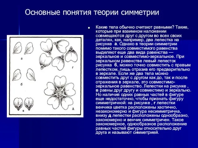 Основные понятия теории симметрии Какие тела обычно считают равными? Такие, которые при