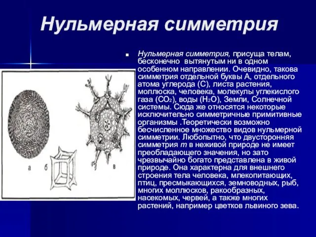 Нульмерная симметрия Нульмерная симметрия, присуща телам, бесконечно вытянутым ни в одном особенном