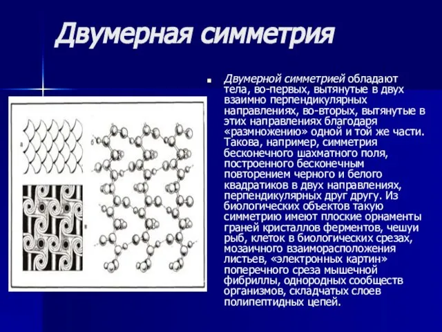 Двумерная симметрия Двумерной симметрией обладают тела, во-первых, вытянутые в двух взаимно перпендикулярных