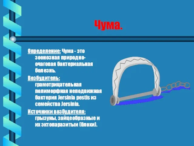 Чума. Определение: Чума - это зоонозная природно-очаговая бактериальная болезнь. Возбудитель: грамотрицательная полиморфная