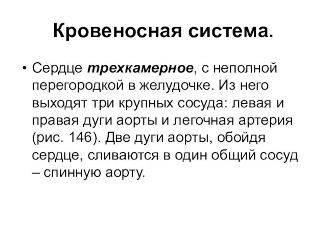 Кровеносная система. Сердце трехкамерное, с неполной перегородкой в желудочке. Из него выходят