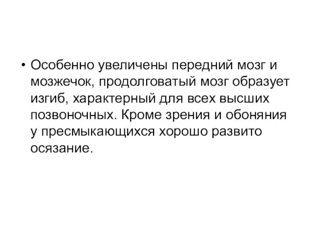 Особенно увеличены передний мозг и мозжечок, продолговатый мозг образует изгиб, характерный для