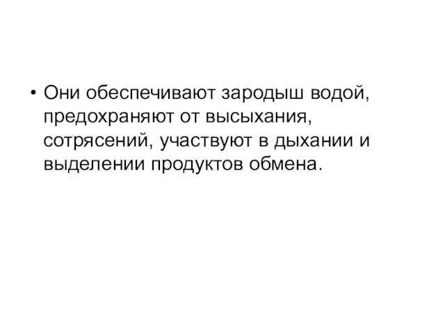 Они обеспечивают зародыш водой, предохраняют от высыхания, сотрясений, участвуют в дыхании и выделении продуктов обмена.