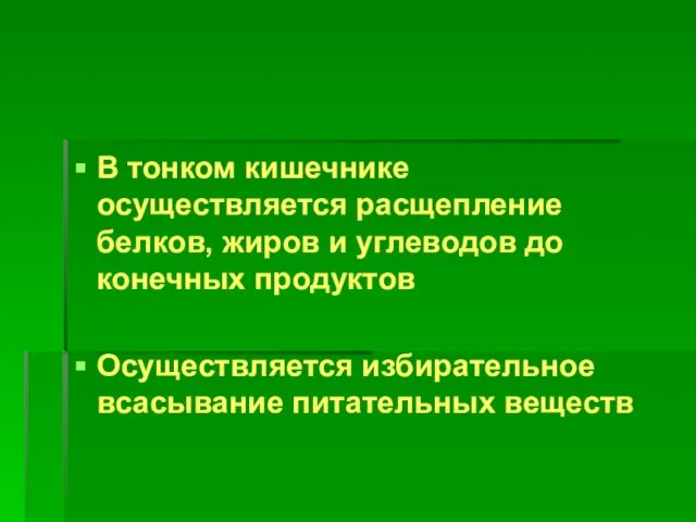 В тонком кишечнике осуществляется расщепление белков, жиров и углеводов до конечных продуктов