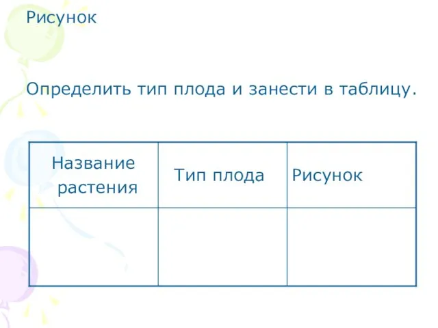 Рисунок Определить тип плода и занести в таблицу.