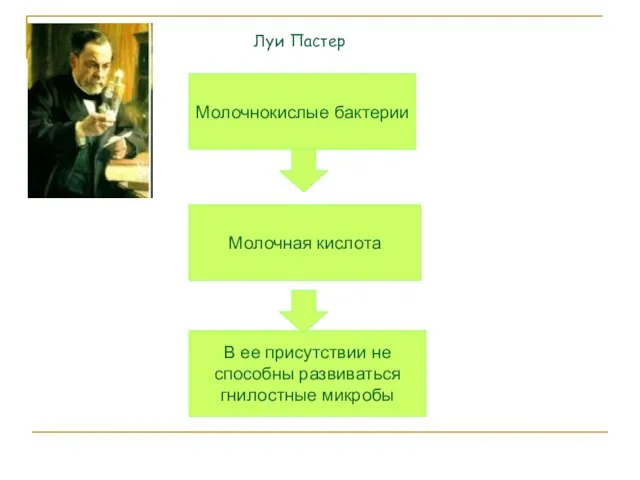 Молочнокислые бактерии Молочная кислота В ее присутствии не способны развиваться гнилостные микробы Луи Пастер