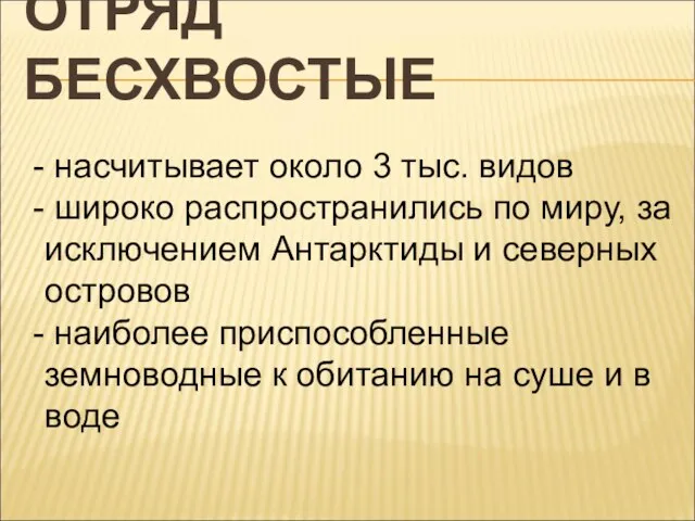 ОТРЯД БЕСХВОСТЫЕ насчитывает около 3 тыс. видов широко распространились по миру, за