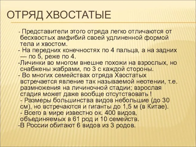 ОТРЯД ХВОСТАТЫЕ Представители этого отряда легко отличаются от бесхвостых амфибий своей удлиненной