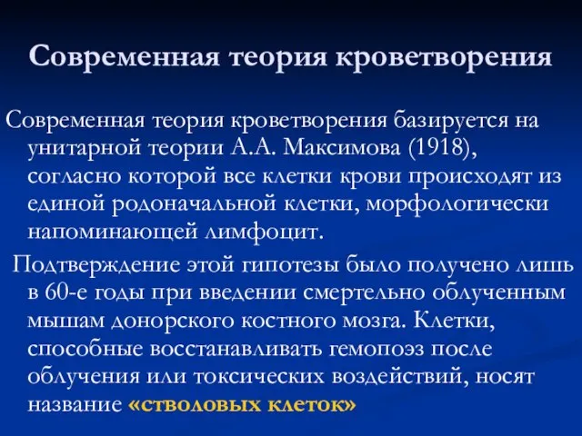 Современная теория кроветворения Современная теория кроветворения базируется на унитарной теории А.А. Максимова