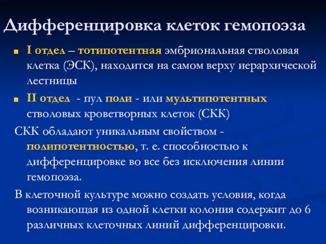 Дифференцировка клеток гемопоэза I отдел – тотипотентная эмбриональная стволовая клетка (ЭСК), находится