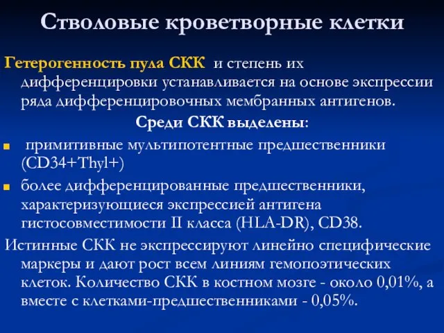 Стволовые кроветворные клетки Гетерогенность пула СКК и степень их дифференцировки устанавливается на