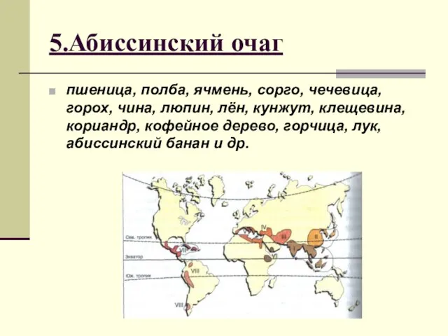 5.Абиссинский очаг пшеница, полба, ячмень, сорго, чечевица, горох, чина, люпин, лён, кунжут,