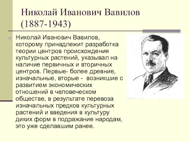 Николай Иванович Вавилов (1887-1943) Николай Иванович Вавилов, которому принадлежит разработка теории центров