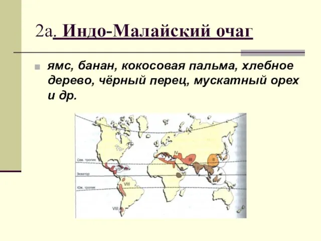 2а. Индо-Малайский очаг ямс, банан, кокосовая пальма, хлебное дерево, чёрный перец, мускатный орех и др.